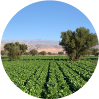 Fresh2you-fresh2you-group-image-MOROCCO-4