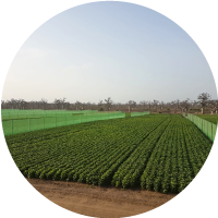 Fresh2you-fresh2you-group-image-senegal-2