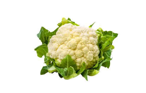 bloemkool