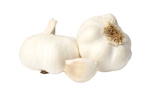 knoflook