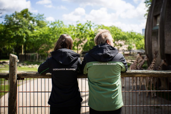 Twee personen voor het giraffenverblijf in Diergaarde Blijdorp in Blijdorp-bedrijfskleding ontworpen door Outfit company wear