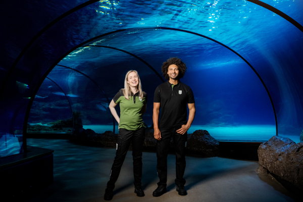 Twee personen met Diergaarde Blijdorp-bedrijfskleding in het oceanium