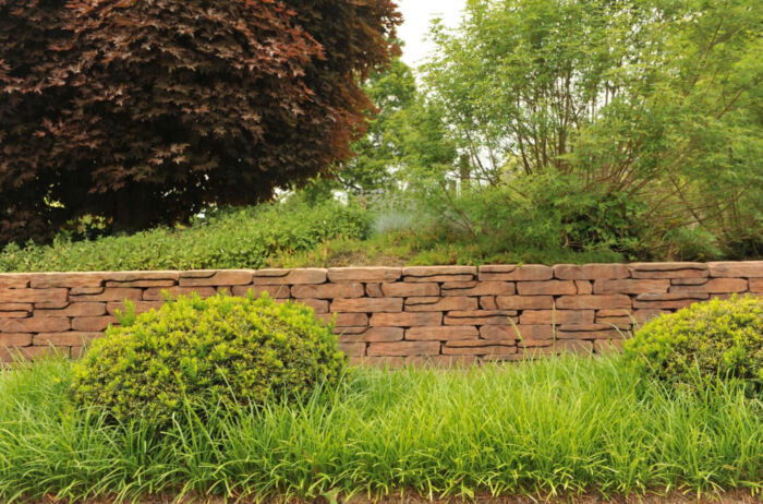 Stonewalling Verona - Afbeelding 4