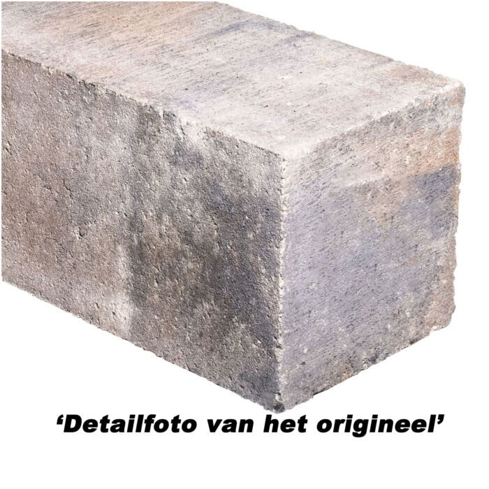 Classico Block Mosselkalk 45x12,5x12,5cm - Afbeelding 2
