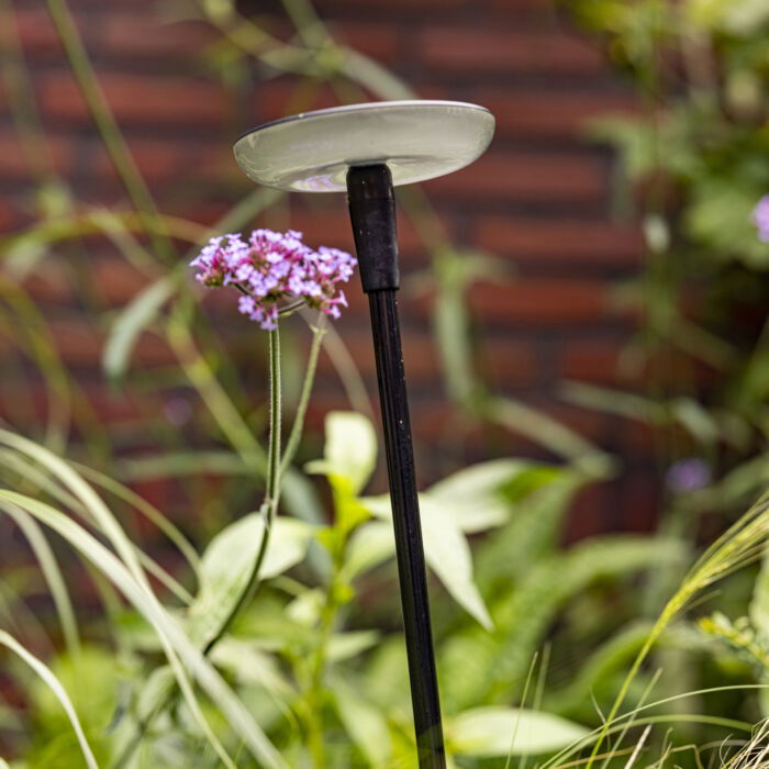 Sway Light Head Black - Afbeelding 2