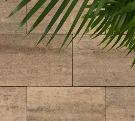 terras eb oprittegel 50x25cm