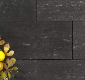 terrastegel blad 80x40cm