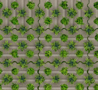 Grastegel profiel 41x61cm