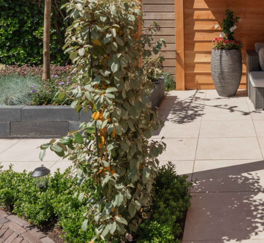 Terrastegel keramiek plant 60x60cm