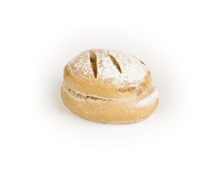 Mer Coquille Wit
